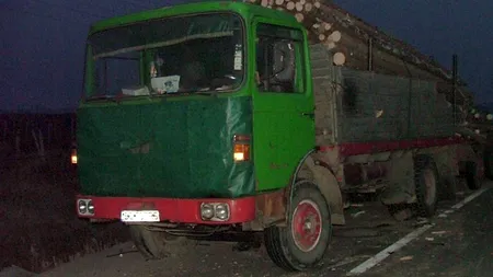 MMP: Amenzi de 161.000 lei, în doar două zile, după controale ce au vizat tăierile de pădure ilegale