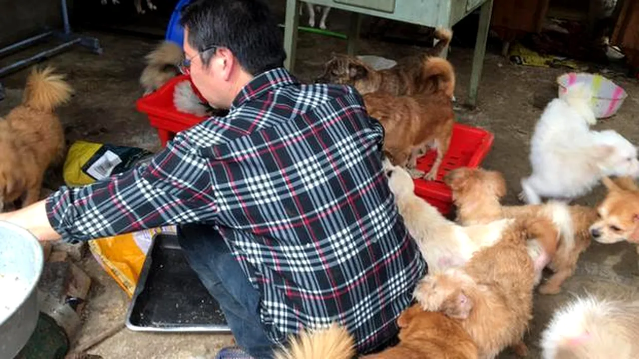 Sacrifiile dragostei de animale: Un bărbat s-a îngropat în datorii după ce a salvat 300 de căței în doar 2 ani - FOTO / VIDEO