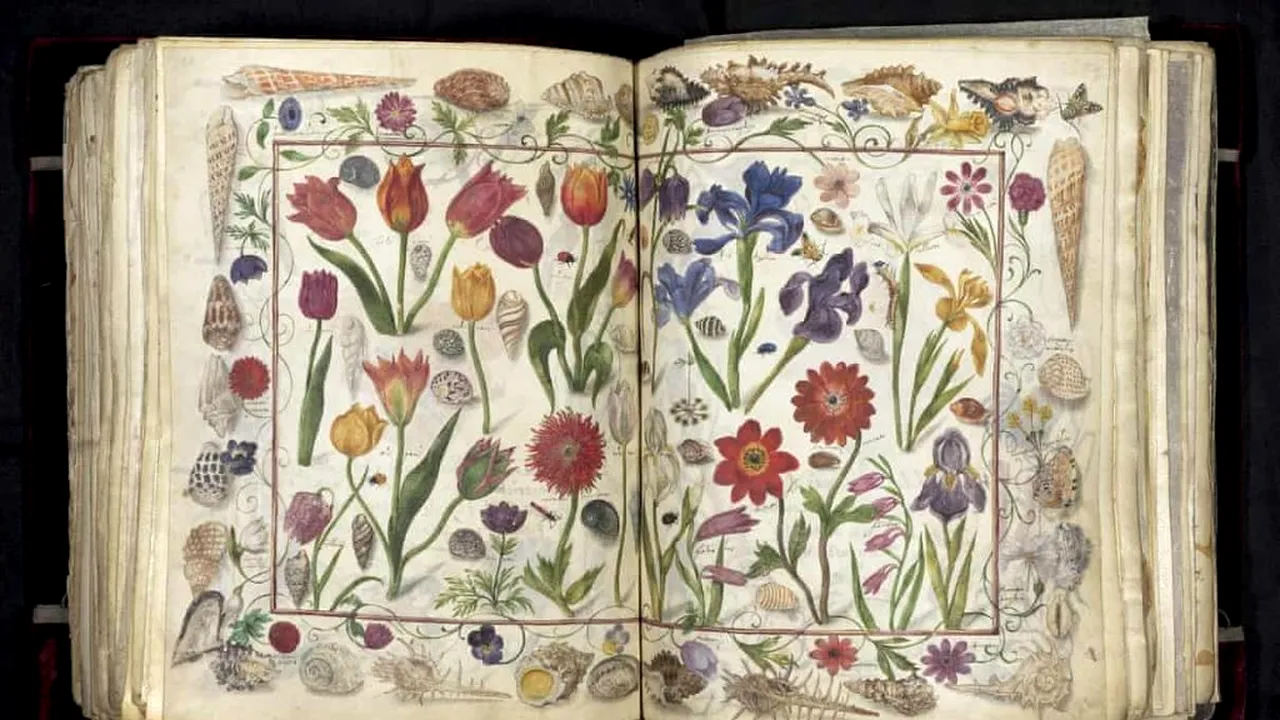 O bibliotecă germană plătește 2,5 milioane lire sterline pentru „cartea de prietenie”, la 400 de ani de la prima încercare de a o cumpăra: „Nicio altă operă de artă nu reflectă mai bine tensiunile politice de la acel moment”