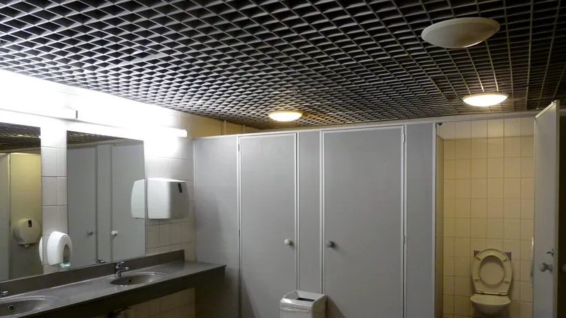 Toaletă publică de 73.000 de euro, într-un parc din Râmnicu Vâlcea. Investiția a fost inițiată de fostul primar, condamnat pentru corupție