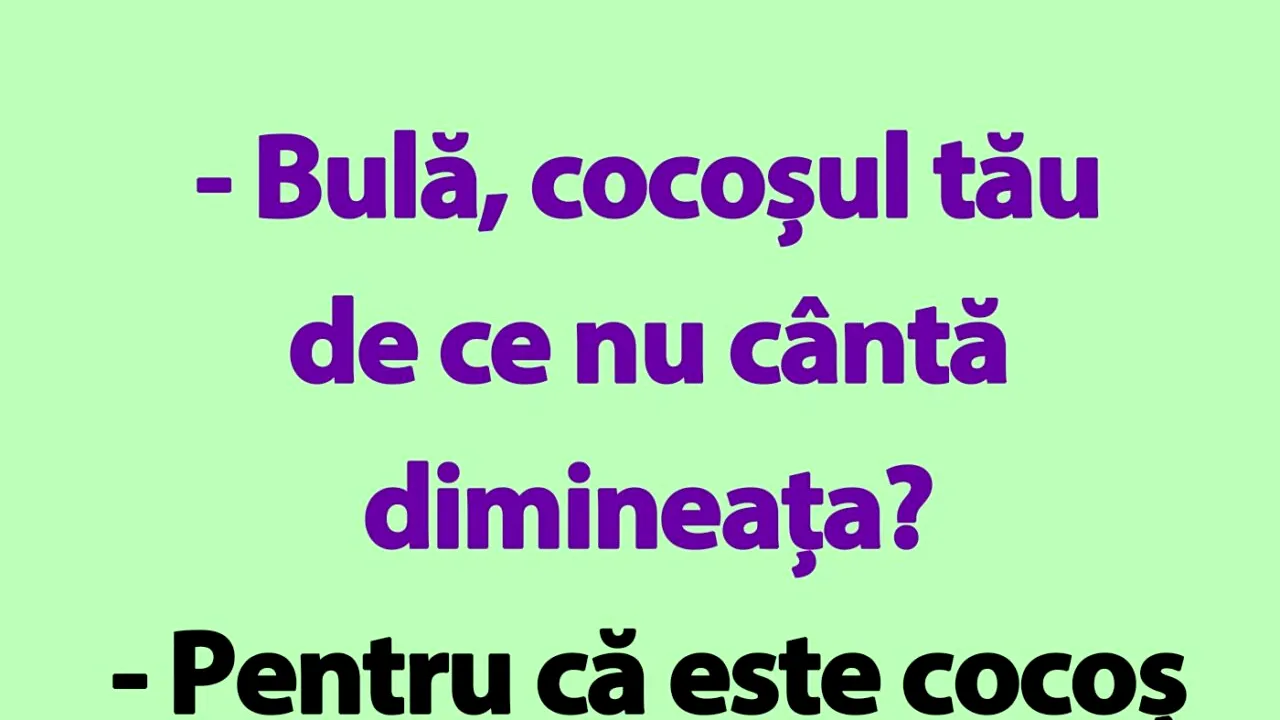 BANC | Bulă și cocoșul modern