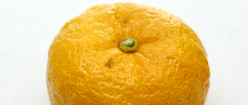 Seamănă cu o portocală, dar nici măcar nu este înrudită. Ce este misteriosul fruct care face furori în restaurantele din Marea Britanie