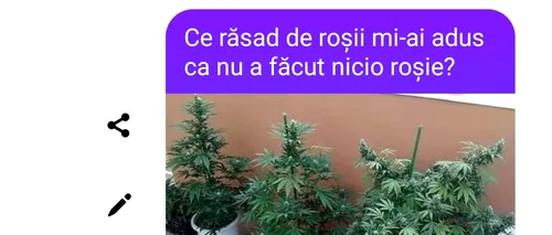 Bancul de vineri | Ce răsad de roșii mi-ai adus?