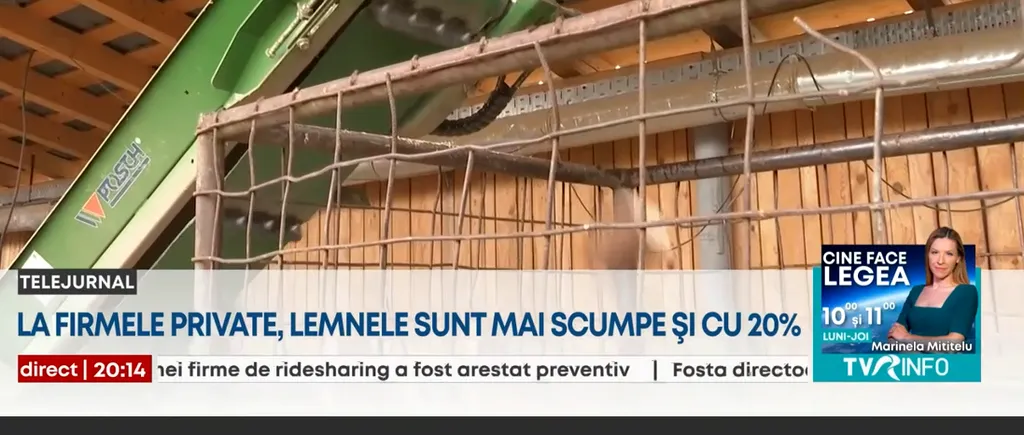 Vești bune pentru românii care se încălzesc cu lemne. Prețurile sunt mai mici ca anul trecut