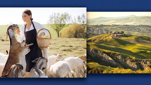 Țările din Europa în care ești plătit să te muți dacă te-ai săturat de costurile vieții din România