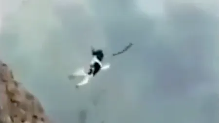 #cugandullaanimale. Câtă cruzime! A aruncat un cățel de pe o stâncă, în apele mării - VIDEO