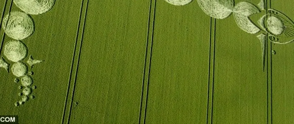 Apariție misterioasă într-un lan de grâu din Marea Britanie. GALERIE FOTO