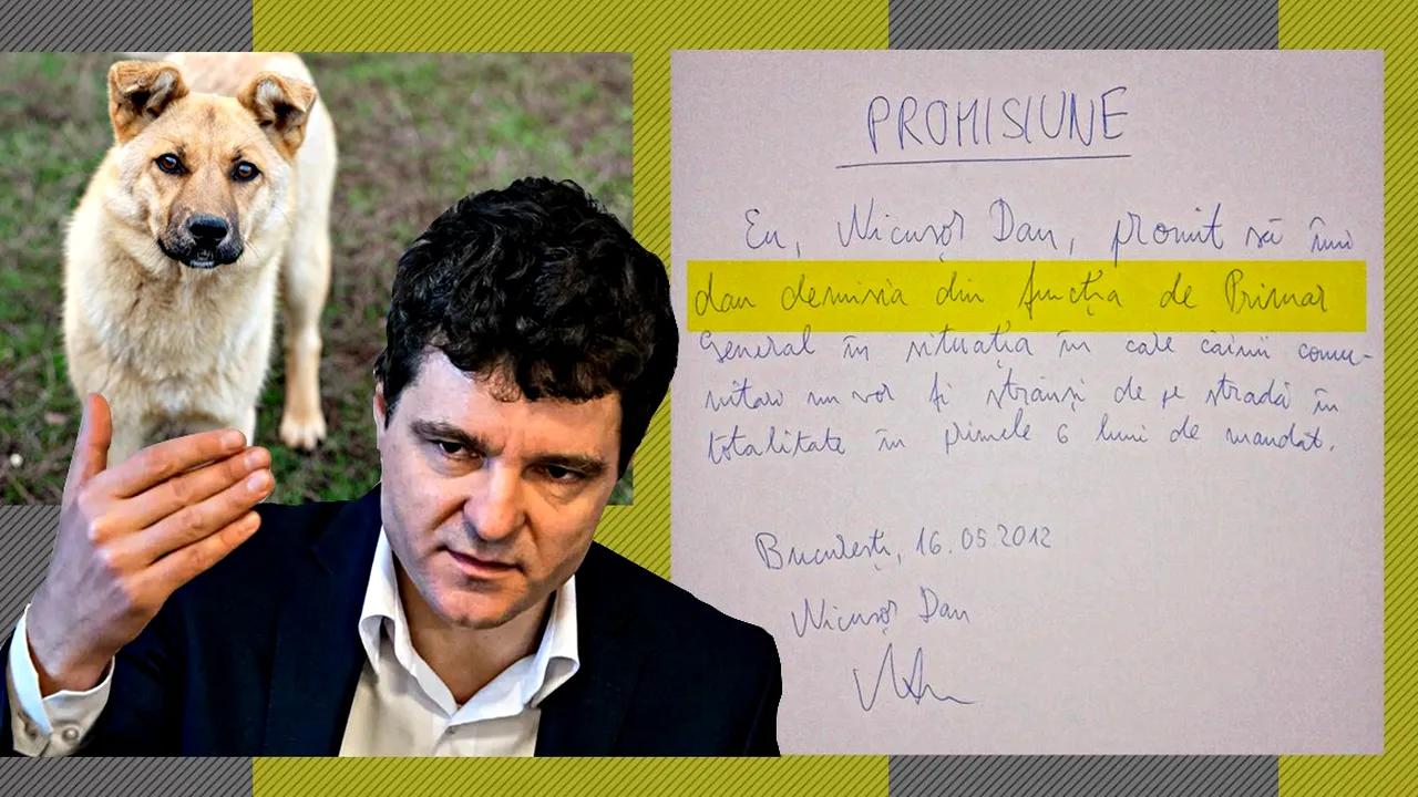 VIDEO: Nicușor Dan promitea, în 2012, la GÂNDUL LIVE, că va demisiona din funcția de primar general dacă nu va rezolva, în primele șase luni de mandat, problema maidanezilor