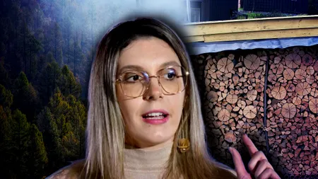 Ministrul Diana Buzoianu anunţă că marcarea lemnului de tăiat, din păduri, nu se mai face cu ciocanul: 