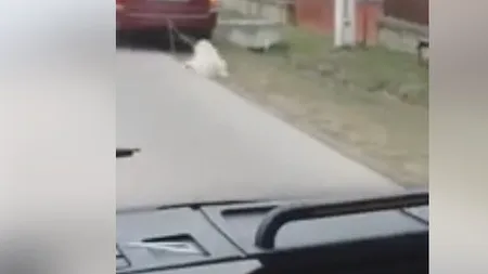 #cugandullaanimale. Incident șocant în Argeș: Viceprimarul unei comune, filmat în timp ce trage cu mașina un câine | VIDEO