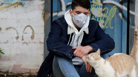AVERTISMENTUL MEDICILOR: Nu interacționați cu animalele de companie dacă aveți COVID-19. Pisicile, cele mai vulnerabile