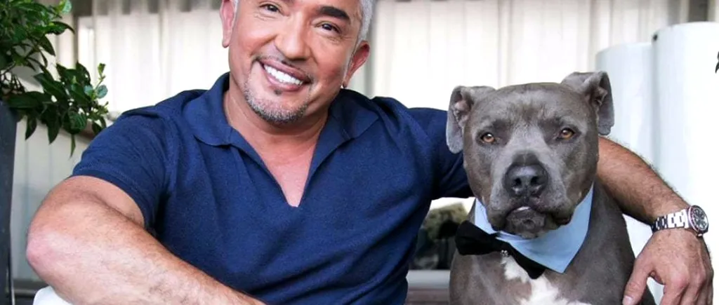 Cesar Millan, cel mai iubit dresor din lume, vine la București 