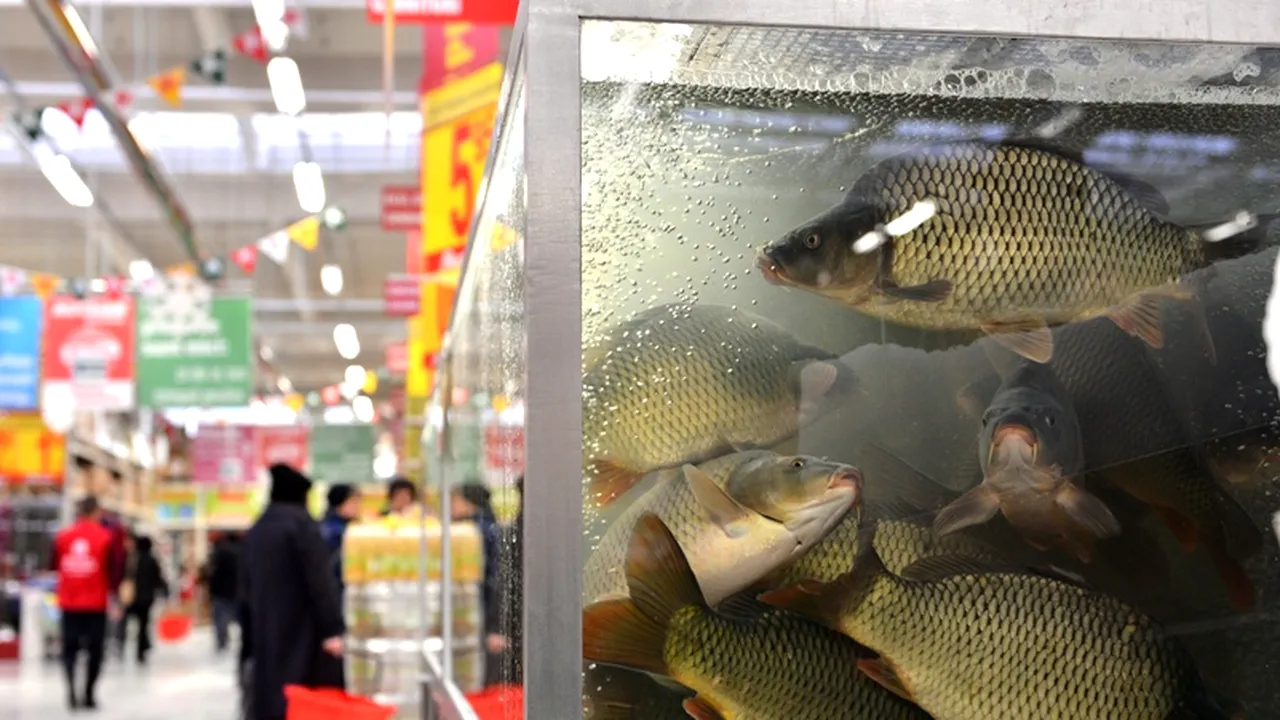 Ce nu îți spune nimeni despre peștele pe care îl găsești la vânzare în România