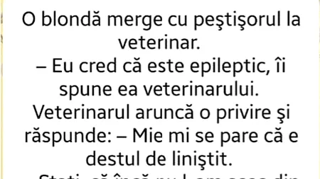 BANC | O blondă merge cu peștișorul la veterinar: „Cred că e epileptic”