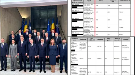 Averile colosale din Guvernul Niculescu. Ministrul independent cu sute de mii de euro în conturi, case și terenuri. Colegii săi de Cabinet dețin bijuterii în valoare de 40.000 de euro și terenuri de mii de m²