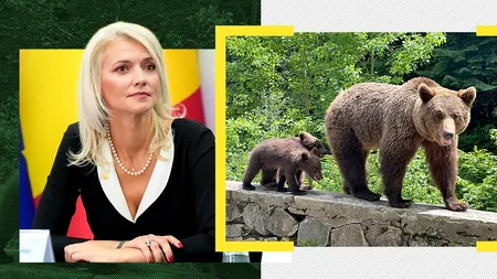 Alina Gorghiu a găsit soluția la problema urșilor: 