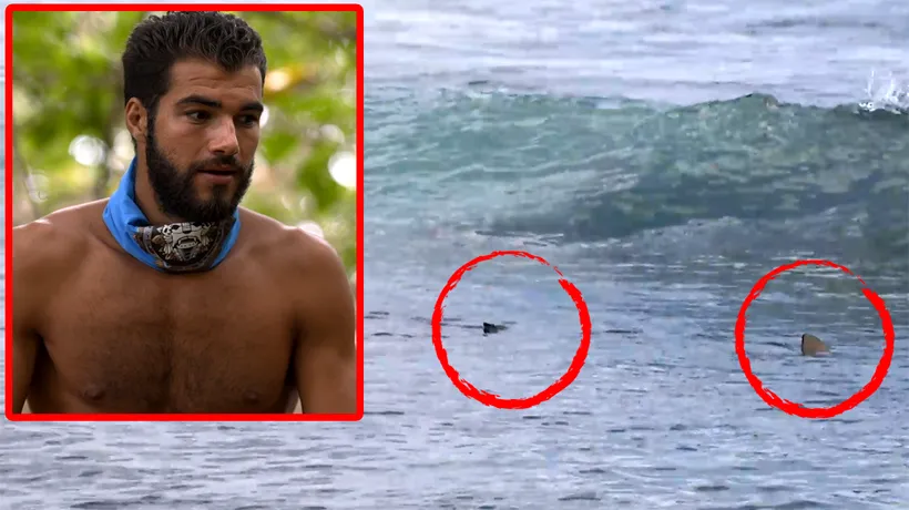 Survivor All Stars, în pericol! Un concurent a fost atacat de doi rechini, în timp ce înota
