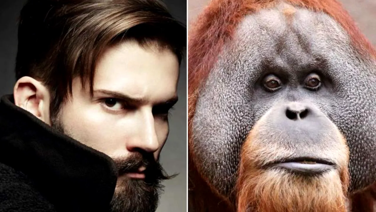 De ce preferă bărbații să aibă barbă? Există o explicație