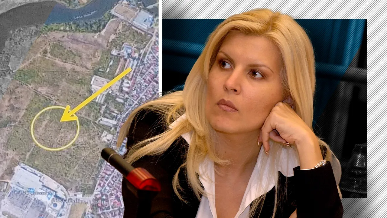 ANAF scoate la licitație mai multe terenuri ale Elenei Udrea, din Sectorul 1. Ce sumă vrea să recupereze Fiscul prin executarea fostului ministru