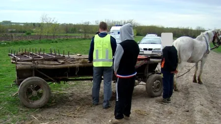 Descoperire-surpriză într-o pădure din Botoșani: Ce au găsit polițiștii pe fundul acestei căruțe