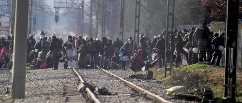 Statele UE au acordat azil, anul trecut, unui număr de 700.000 de imigranți