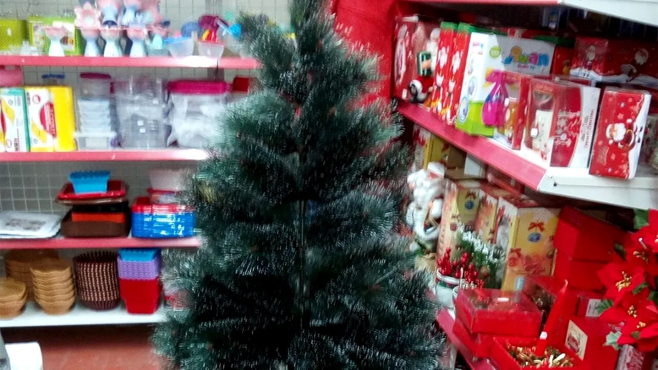 Cât COSTĂ un brad în Carrefour, acum, cu o lună înainte de Crăciun. Prețurile ajung și la 999 lei