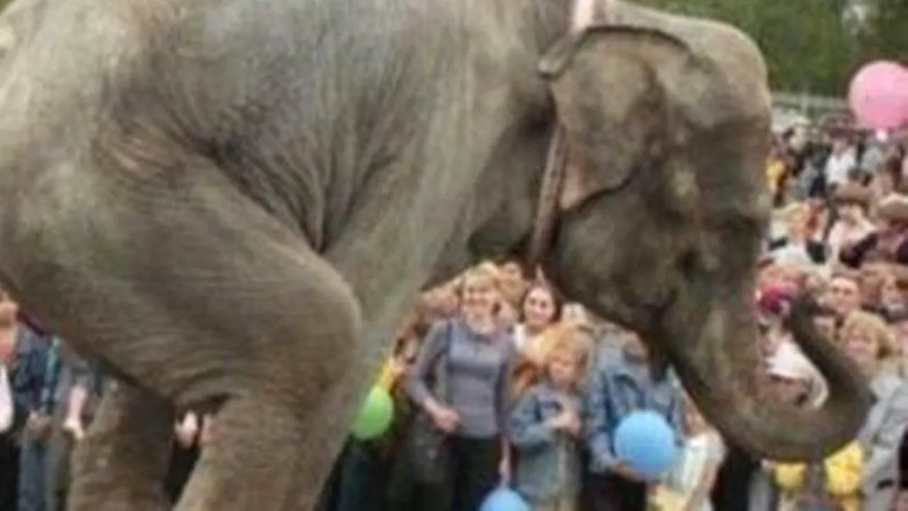 GALERIE FOTO. Acestea sunt probabil unele dintre cele mai 