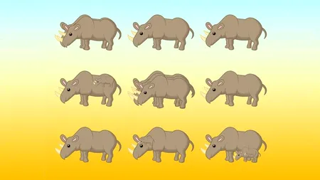 Test de inteligență pentru GENII | Câți rinoceri sunt, de fapt, în această poză?