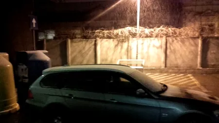 Explicații pentru ninsoarea neobișnuită din București