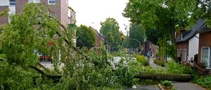 Codul portocaliu de furtună și vijelii face RAVAGII. Mai multe străzi din CAPITALĂ sunt avariate