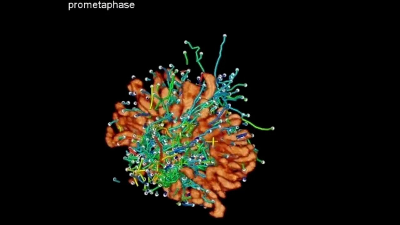 Microscopul care le permite oamenilor de știință să vadă lumea așa cum nu au văzut-o niciodată