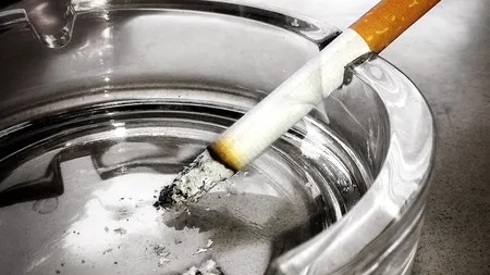 Percheziții în Caraș-Severin și Timiș, într-un dosar de fabricare ilegală a țigărilor