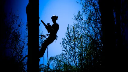 Gestul extrem la care a apelat o femeie pentru a încasa banii dintr-o ASIGURARE. Familia, complice la escrocherie