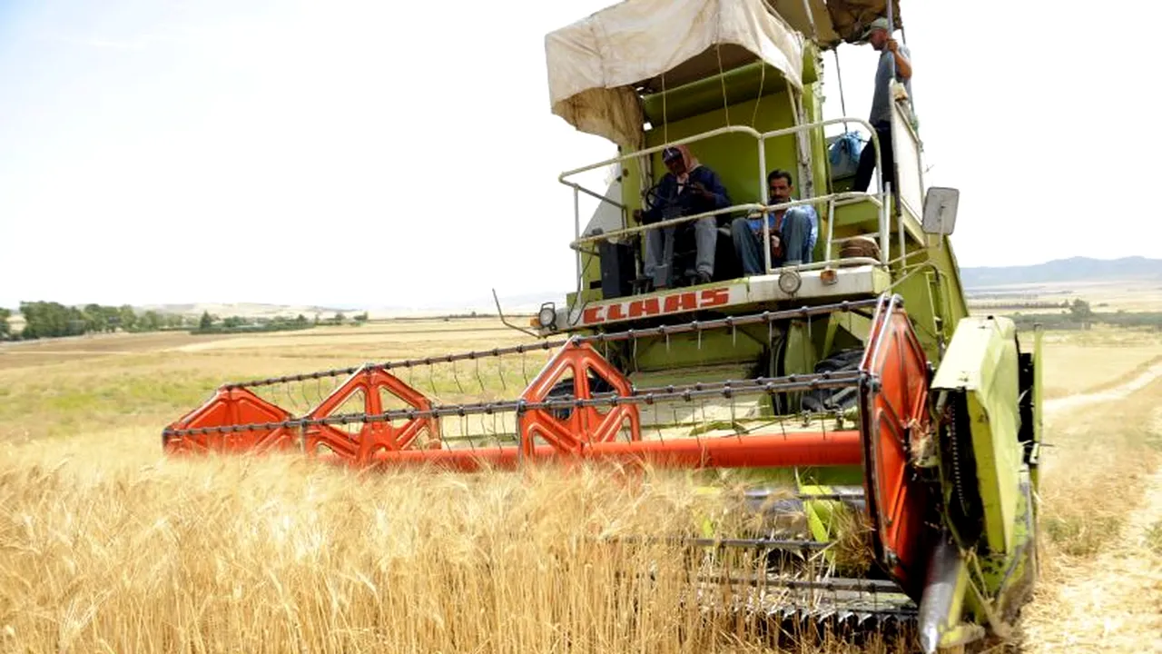 Oxfam: Schimbările climatice vor determina creșterea prețurilor la produsele alimentare