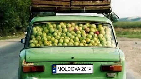 Proiectul cinematografic 