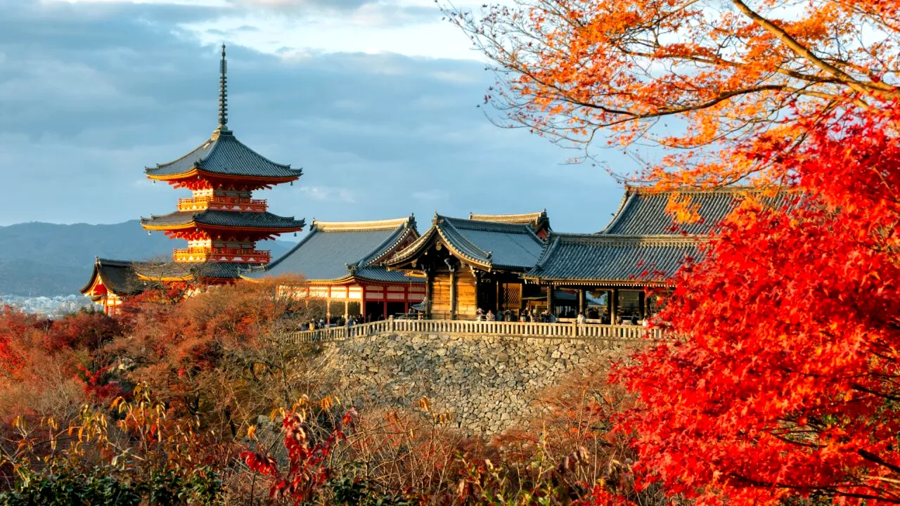 Motivul pentru care casele din Japonia nu au burlane pentru drenarea apei de ploaie. De ce nu se folosesc aici, de fapt