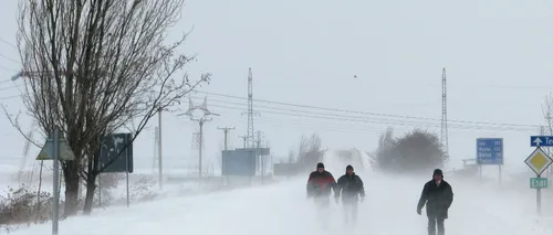 Alertă meteo de vânt puternic și ninsori până vineri după-amiază