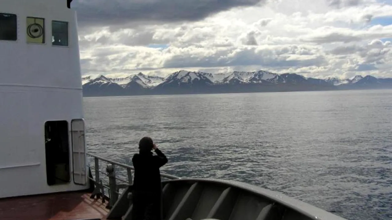 FOTO. Cea mai bătrână creatură din lume a fost descoperită în Islanda