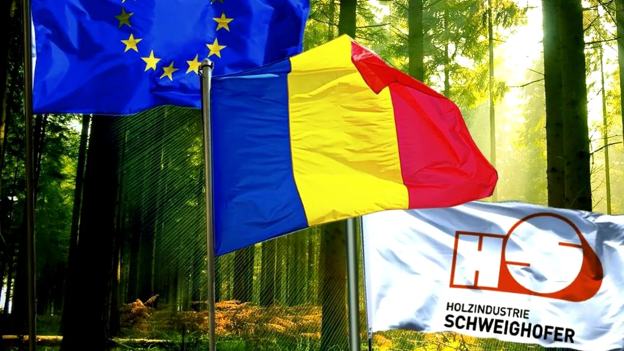 (P) Holzindustrie Schweighofer reacționează la acuzațiile Agent Green