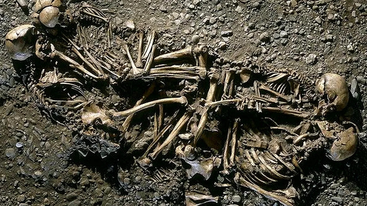 DESCOPERIREA care a schimbat modul cum înțelegem MEDICINA MODERNĂ