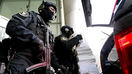 Cătălin Predoiu, despre clanurile interlope: „Aici e un fenomen precum dinții rechinilor, dispar unii, apar alții”