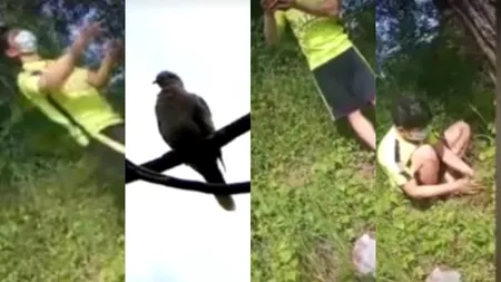 Trei vietnamezi au fost prinși în timp ce căutau pui de sturz ca să îi mănânce, într-o rezervație din Neamț