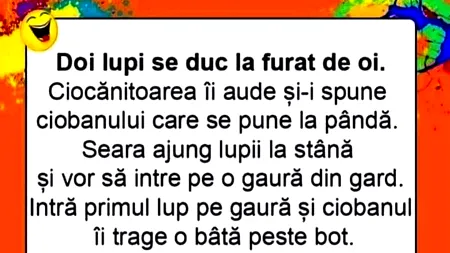 Bancul de vineri | Doi lupi se duc la furat de oi