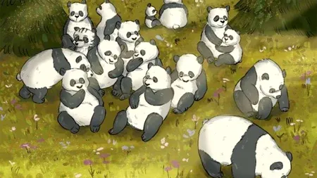 Iluzie optică VIRALĂ | 98% nu reușesc! Găsiți ratonul ascuns printre urșii panda din imagine
