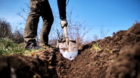 Fără diplomă de BAC, mulți tineri din România visează să plece la muncă în străinătate. „Aici nu e un trai decent. Mulți pleacă pe Germania”
