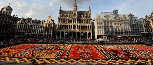 Bruxelles-ul a înflorit. Covor din 750.000 de begonii în Grand Place