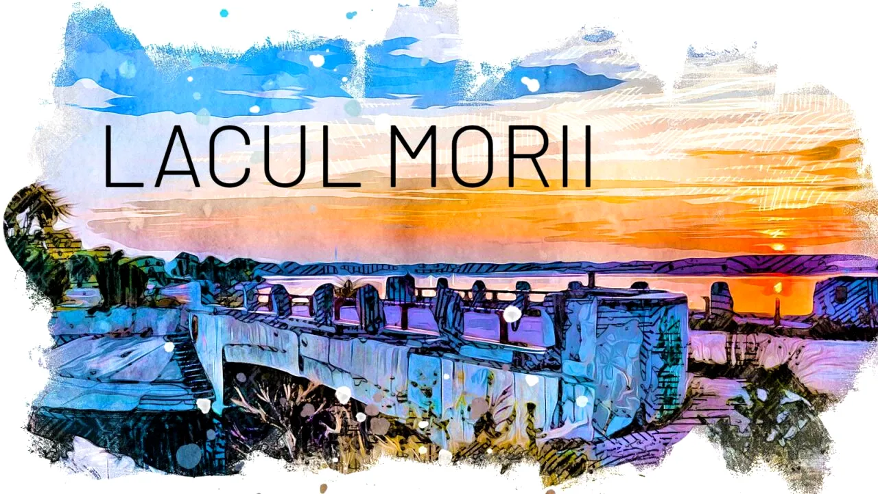 VIDEO Lacul Morii, cea mai mare întindere de apă din Capitală. Ar trebui să asigure apa potabilă pentru toți bucureștenii în caz de calamitate (DOCUMENTAR)