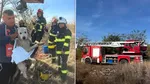 Pompierii din Dolj, misiune de salvare. S-a intervenit de urgență după ce un câine a căzut într-o fântână adâncă de 10 metri, în localitatea Poiana Mare