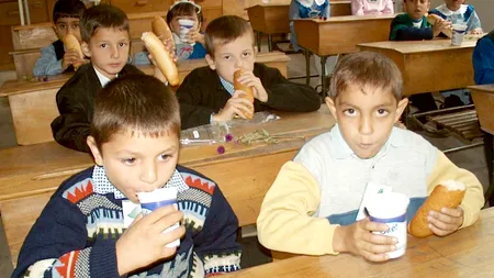 Elevi ÎN PERICOL! LAPTE infestat CU VIERMI a ajuns într-o școală din Bistrița-Năsăud. Reacția autorităților