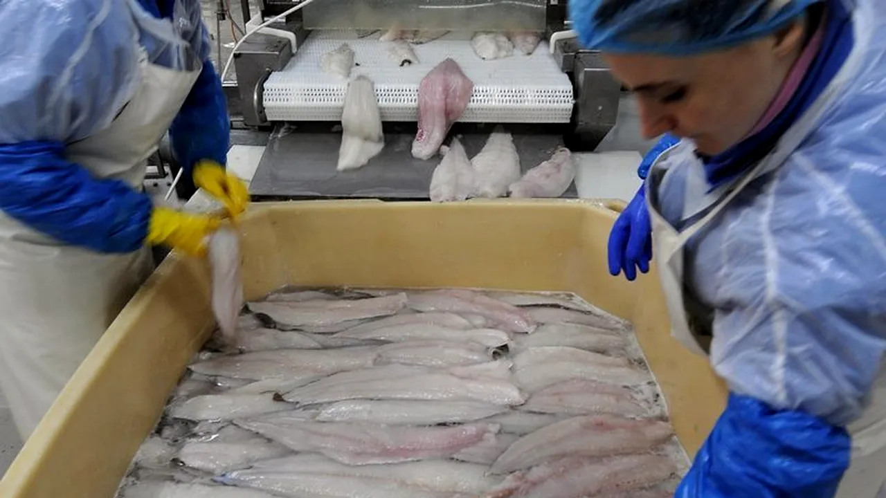 Norvegia a ridicat restricțiile pe piața muncii pentru români